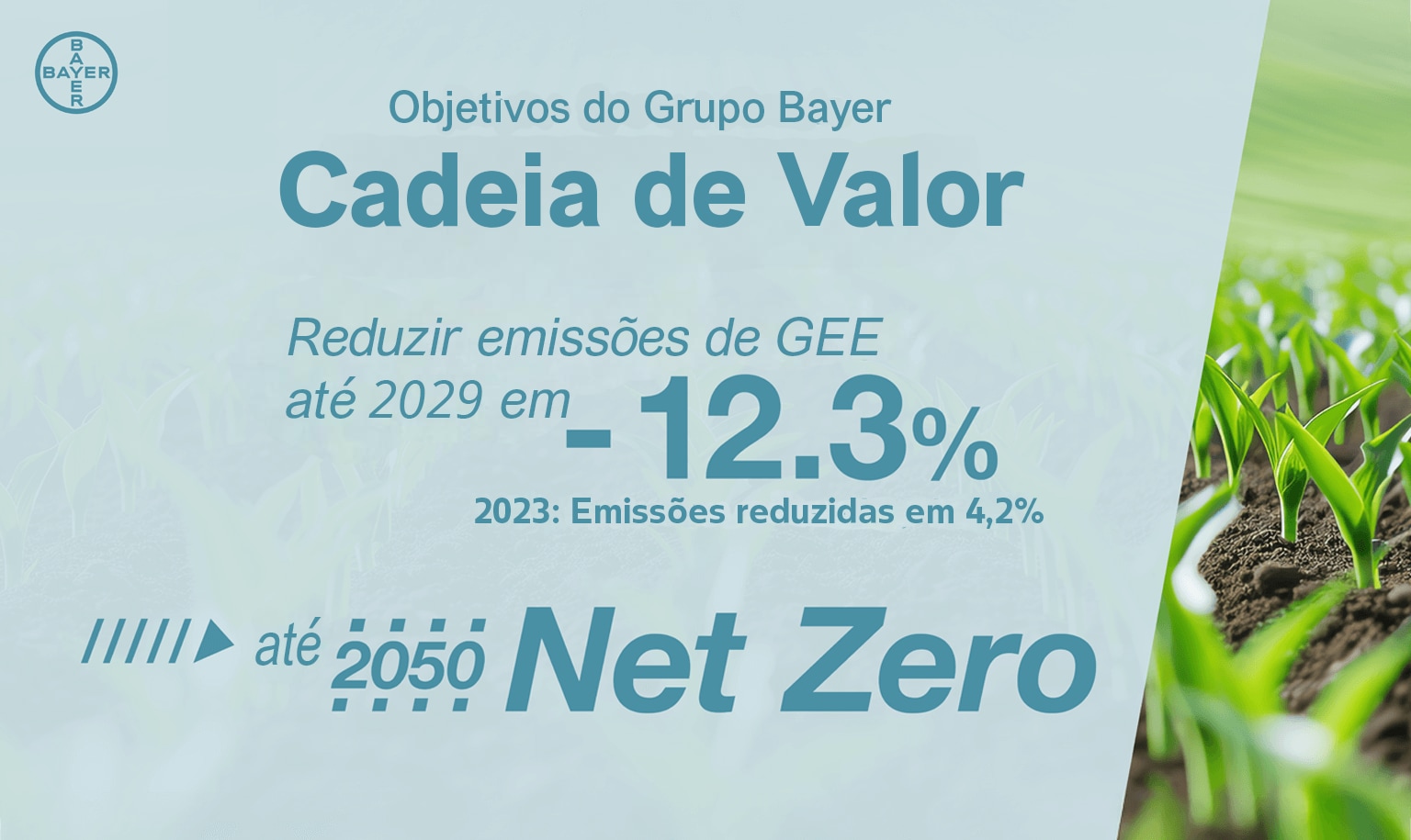 Image showing bayer group goals value chain