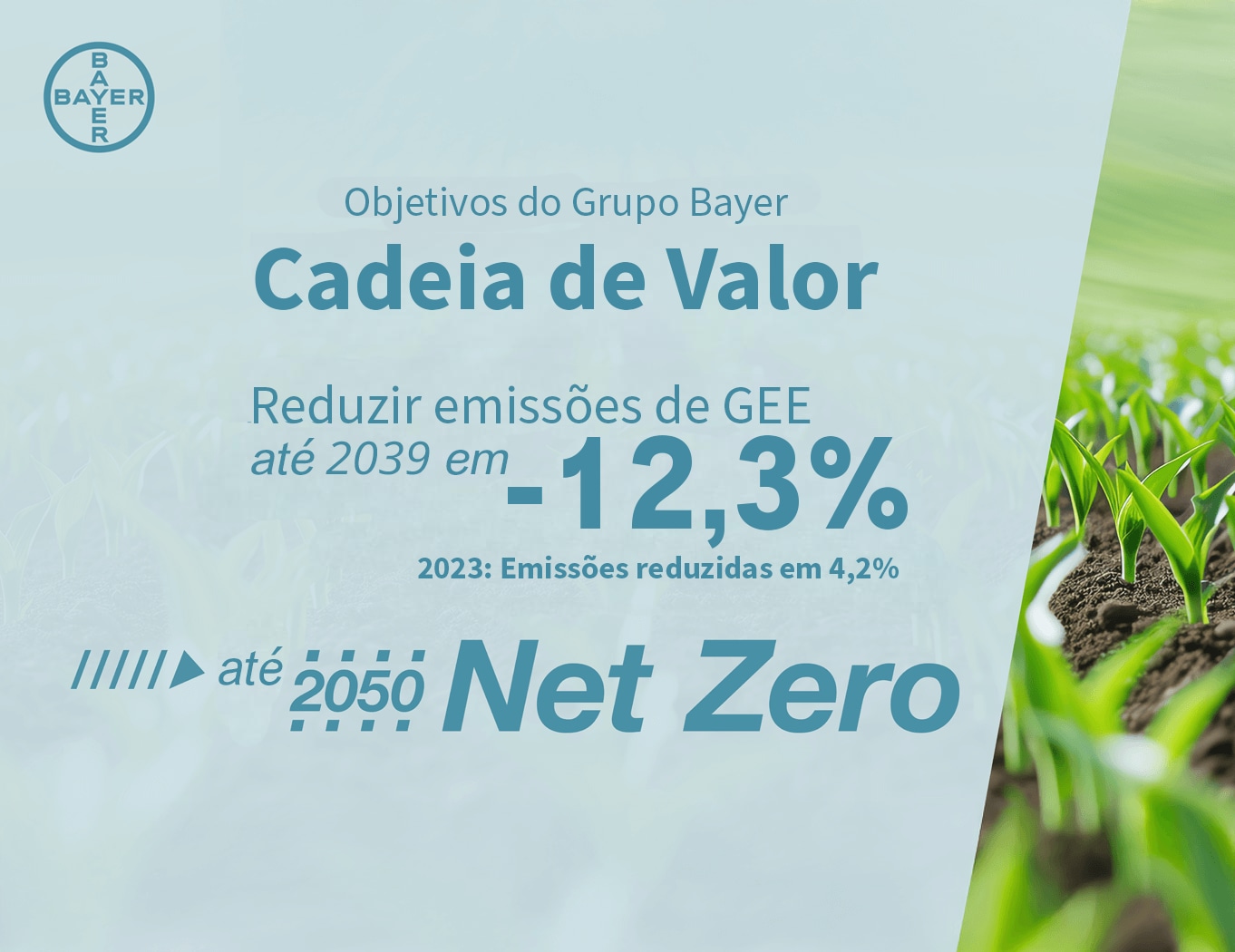Image showing bayer group goals value chain