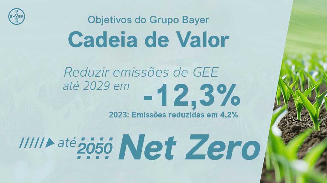 Image showing bayer group goals value chain